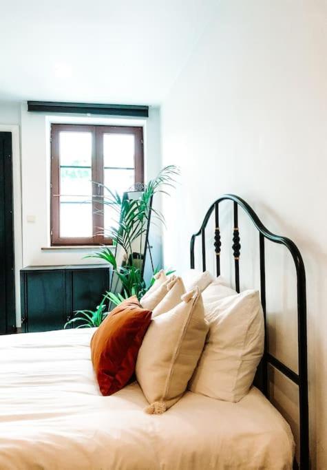 Charming Studio In The Heart Of Gent